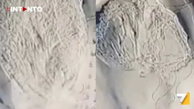 Valanga a Solda, Alto Adige: le immagini degli sciatori in fuga