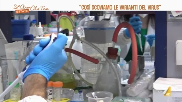 "Così scoviamo le varianti del virus"