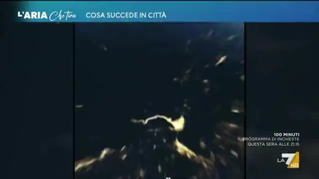 L'Aria Che Tira
