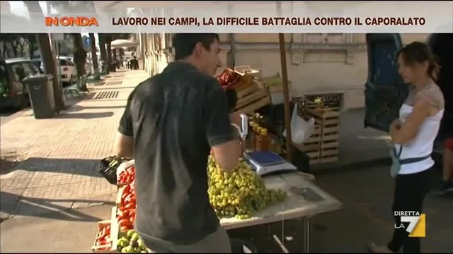Lavoro nei campi, la difficile battaglia contro il capolarato