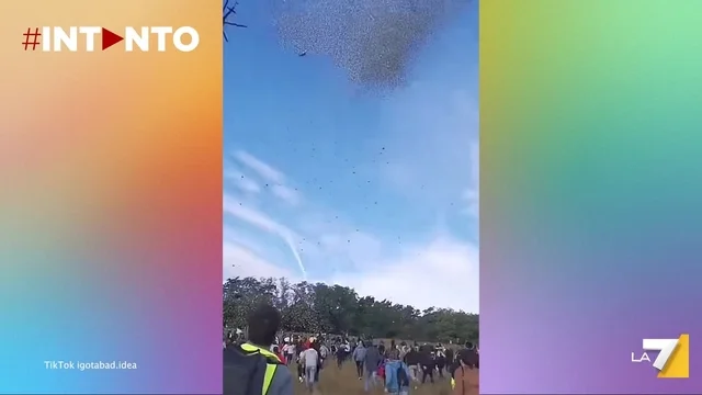Piove un milione di dollari da un elicottero: il video reazione delle persone