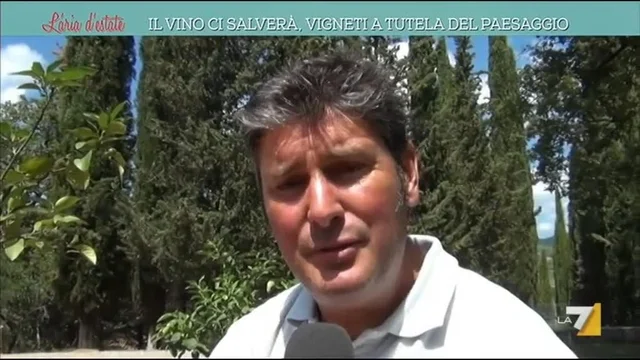 Il vino ci salverà, vigneti a tutela del paesaggio