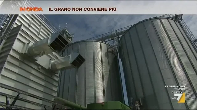 Il grano non conviene più