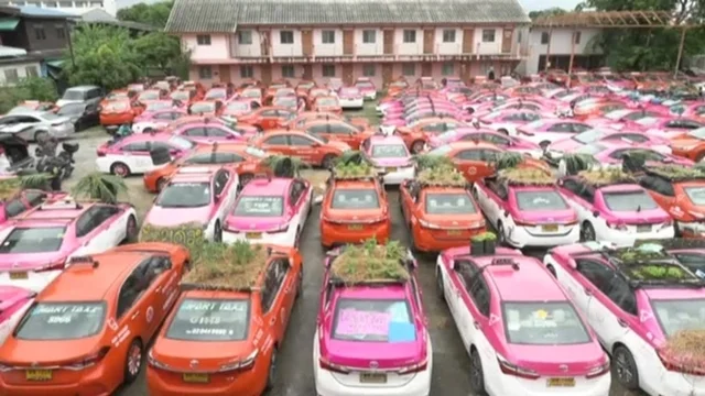 Bangkok, ecco il cimitero dei taxi: piccoli orti sui tetti delle auto per aiutare i tassisti senza lavoro