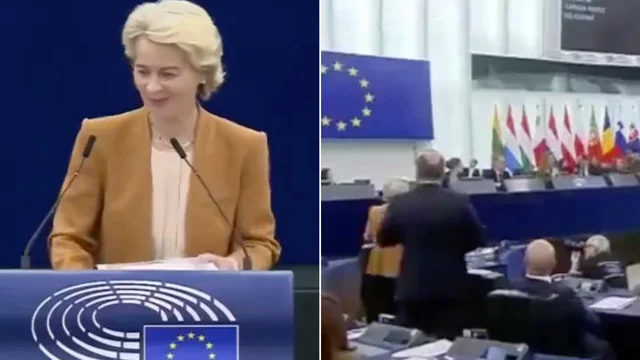 Curioso episodio al Parlamento europeo: i lavori vengono interrotti da un cane