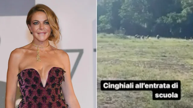 Roma, cinghiali all'ingresso di scuola: la video denuncia di Claudia Gerini