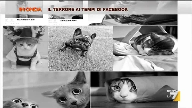 Il terrore ai tempi di Facebook