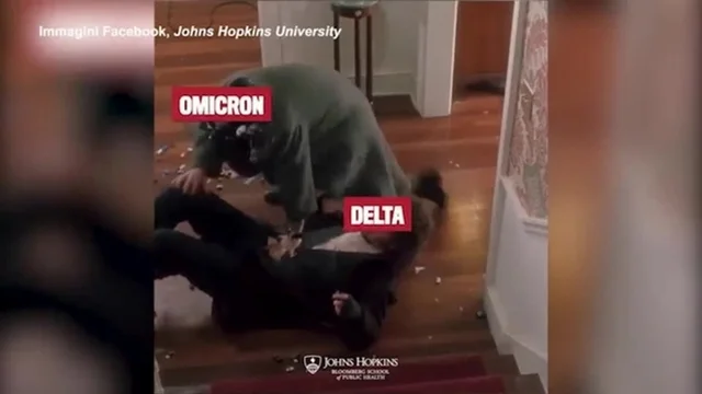 Omicron, Delta e terza dose: l'efficacia del vaccino spiegata da «Mamma ho perso l’aereo»