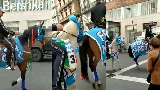 Spuntano i cavalli per la festa scudetto in centro a Napoli