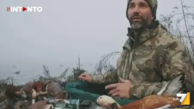 Trump Junior era autorizzato a cacciare nella laguna veneta? Ce lo dice la legge