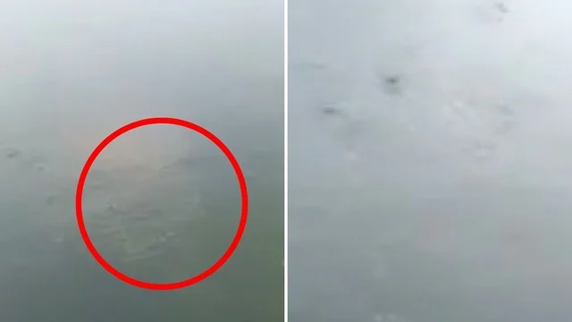 Terremoto Campi Flegrei, bolle sul Lago d'Averno dopo le forti scosse: le immagini che hanno fatto il giro del web