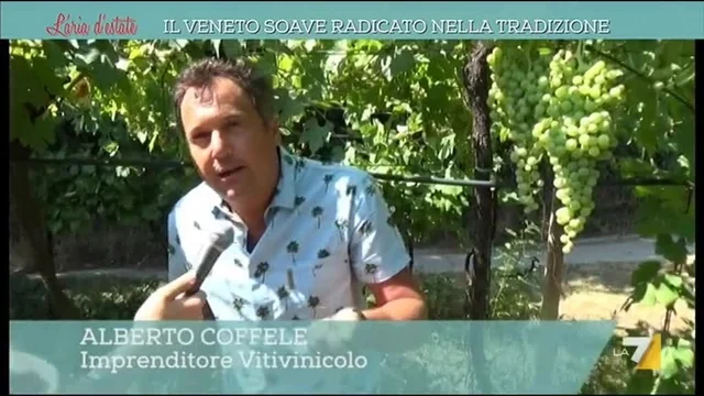 Il Veneto Soave radicato nella tradizione