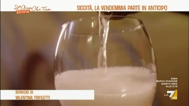 Siccità, la vendemmia parte in anticipo