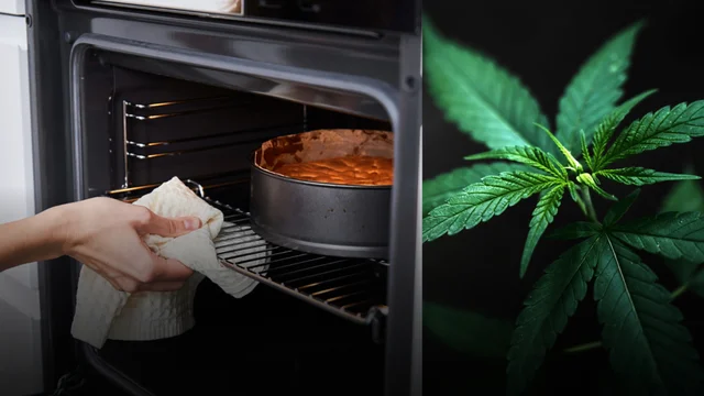 Monza, studenti intossicati dopo aver mangiato torta alla marijuana