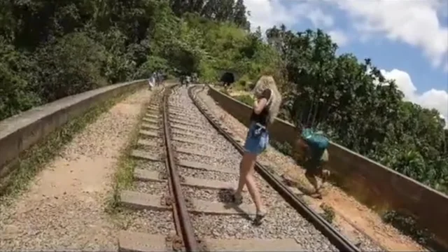 Uno sciame di api attacca i turisti: la fuga tra i binari
