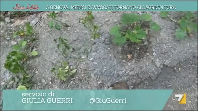 A Genova medici e avvocati tornano all'agricoltura