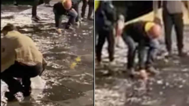 Ischia, la pesca miracolosa dopo la mareggiata: centinaia di sardine pescate a mano