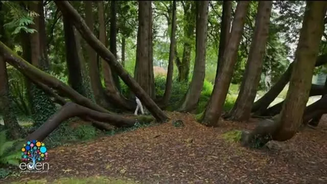 Eden - Un pianeta da salvare