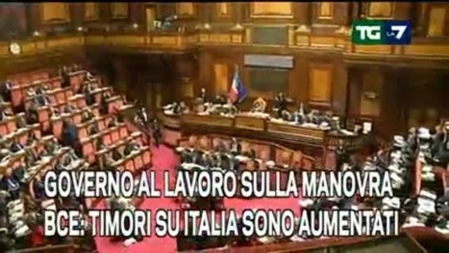 Edizione delle 13:30 - 29/11/2018
