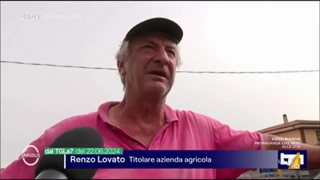 Omnibus Dibattito