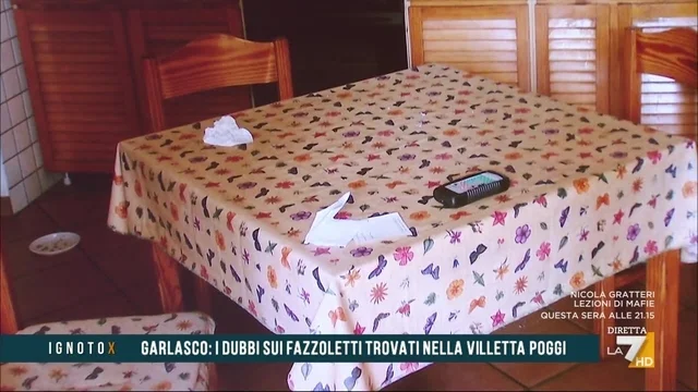 Garlasco, Garofano sui fazzoletti della villetta Poggi: "Furono scartati perché le tecniche dell'epoca non avrebbero dato esito"
