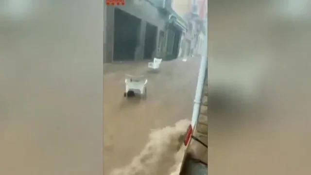 Spagna, devastanti inondazioni: auto e alberi travolti dalla corrente