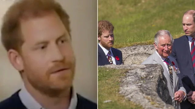 Il principe Harry attacca la famiglia reale: il video