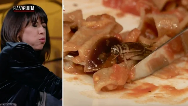 Il giornalista mangia pappardelle con farina di insetto. La reazione in diretta di Nunzia De Girolamo