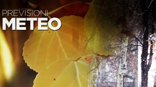 Omnibus - Meteo