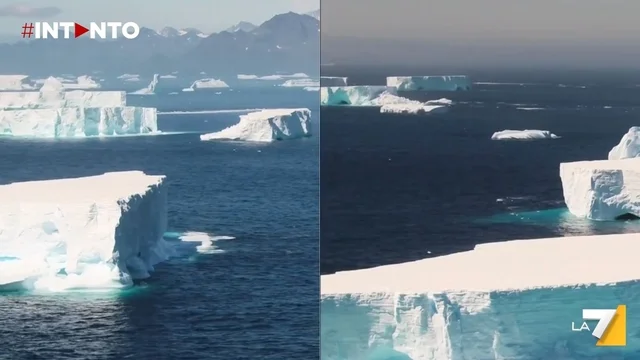 Avvistato l'Iceberg A23a vicino alla Georgia del Sud: scatta l'allarme