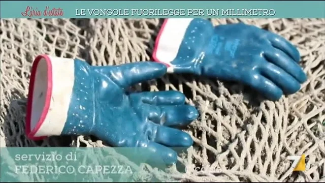 Le vongole fuorilegge per un millimetro