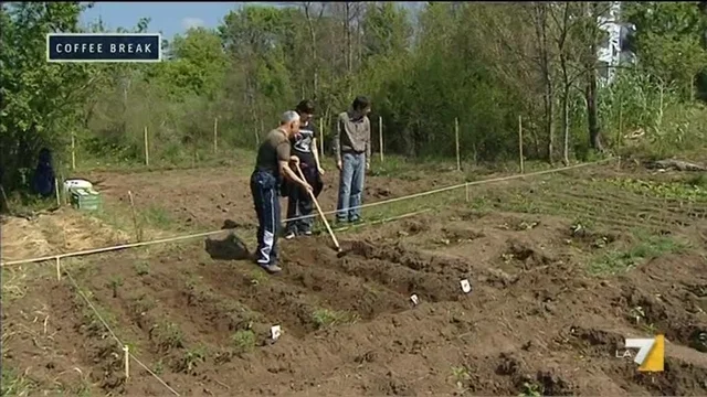 Orti urbani per combattere la crisi