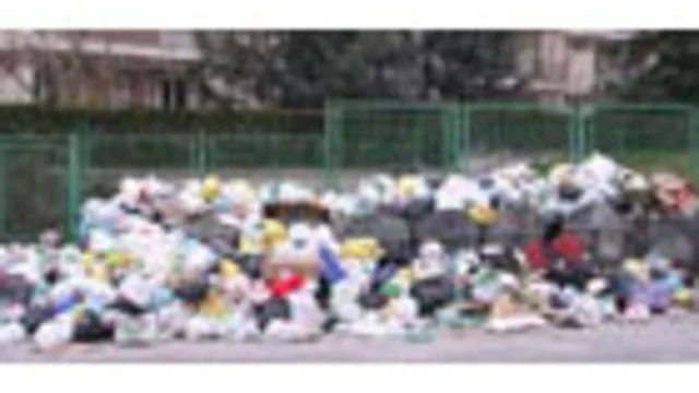 CAMPANIA: GALLI SULLA MONNEZZA