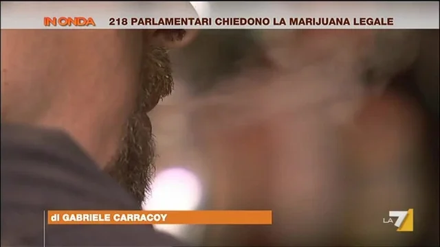 218 parlamentari chiedono la marijuana legale