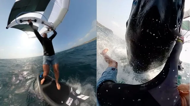 Kite surfer si scontra con una balena al largo della costa australiana: il video incredibile