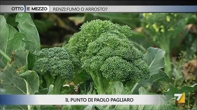 La terra dei fuochi: leggenda o verità