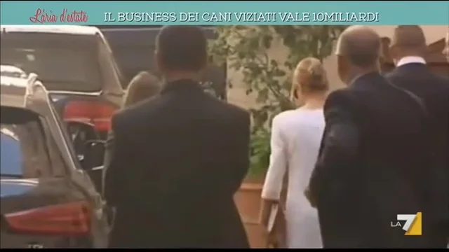 Il business dei cani viziati vale 10 miliardi