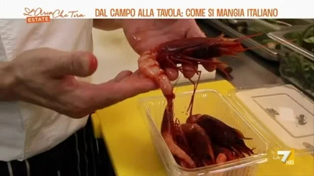 Dal campo alla tavola, come si mangia italiano