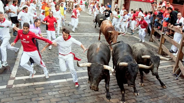 Spagna, diversi feriti per le cornate dei tori a Pamplona: il video