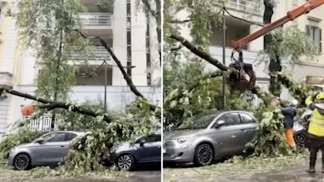 Maltempo a Milano, caduti gli alberi in via Sanzio: il video