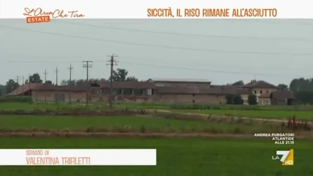 Siccità, il riso rimane all'asciutto
