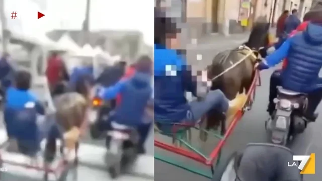 Catania, non si ferma l'orrore delle corse clandestine di cavalli