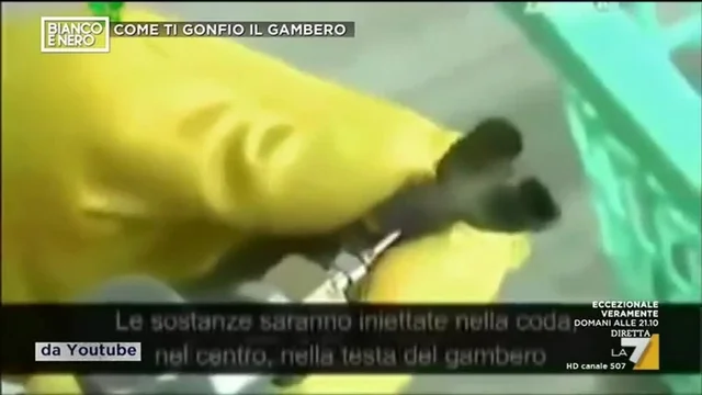 Gambero gonfiato
