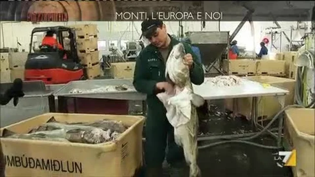 LA SOLUZIONE DELL'ISLANDA