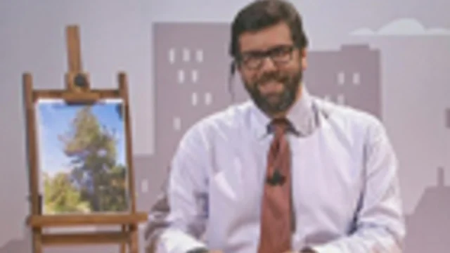 ALL'OMBRA DEGLI AGHI. DI PINO