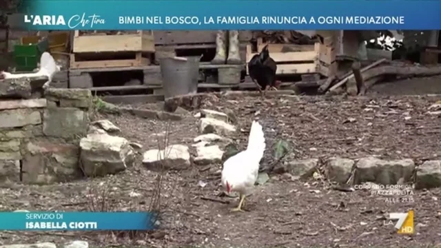 Bimbi nel bosco, la famiglia rinuncia a ogni mediazione