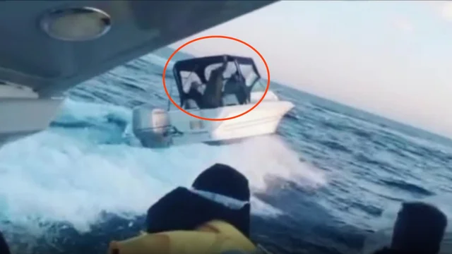 La Guardia di Finanza insegue il fuggitivo: la scena è da film
