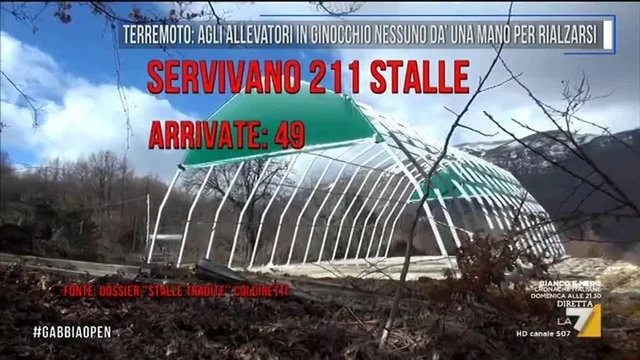 Terremoto: agli allevatori in ginocchio nessuno dà una mano per rialzarsi