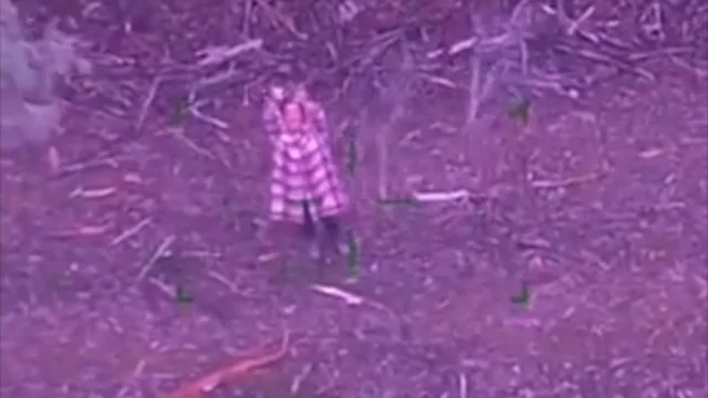 Si perde nel bosco, ritrovata dopo cinque giorni: "Aveva solo lecca lecca e vino"