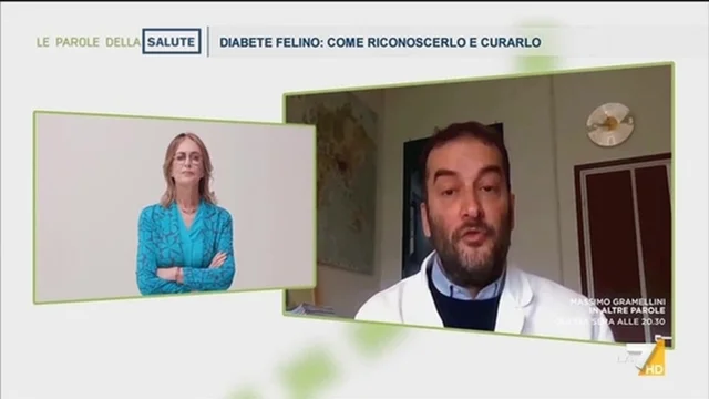 Diabete felino - Prof. Fracassi